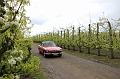 MG Bloesemrit op 24-4-2016 org. Jos&Marie-lou  (44)